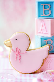 BabyMoon Duck