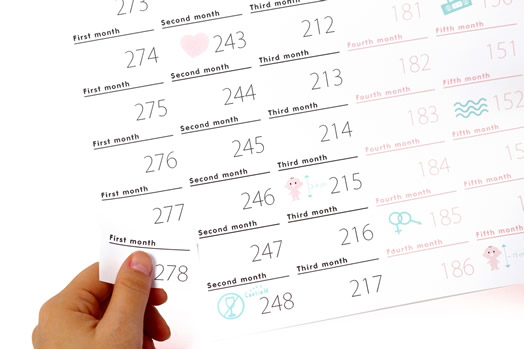 Pregnancy Calendar by DOIY Design