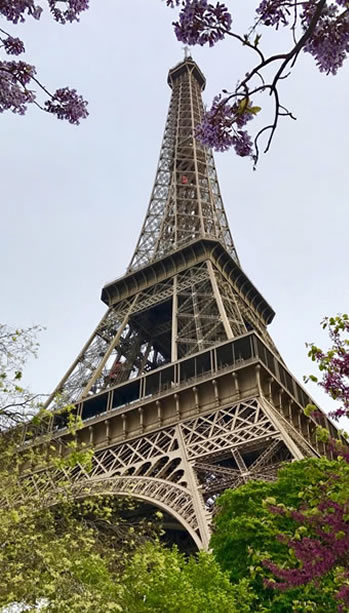 Romance & Liveliness in Paris – Review