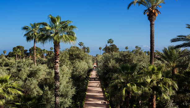 Marrakech Babymoon at La Mamounia