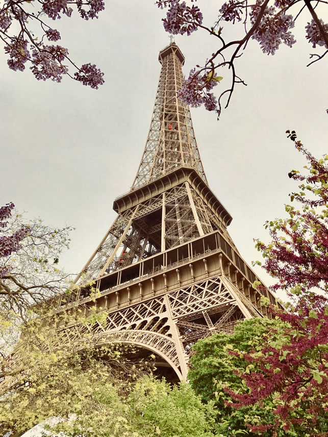 Eiffel Tower, Paris. Image: Ilonka Molijn, private