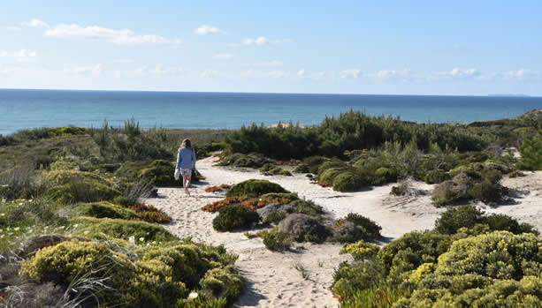 One of our daughters enjoying a walk through the dunes