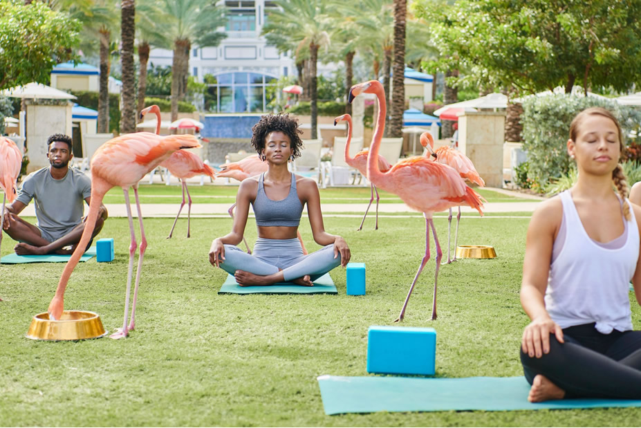 Bahamas Babymoon at Rosewood Baha Mar