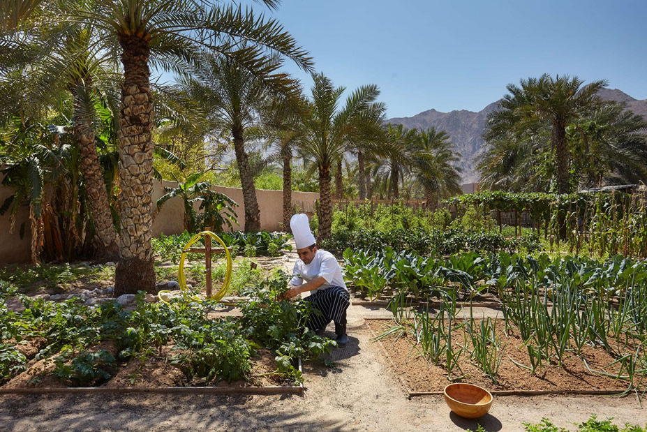 Oman Babymoon at Six Senses Zighy Bay
