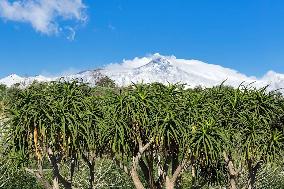 Sicily Babymoon at Donna Carmela Resort & Lodges
