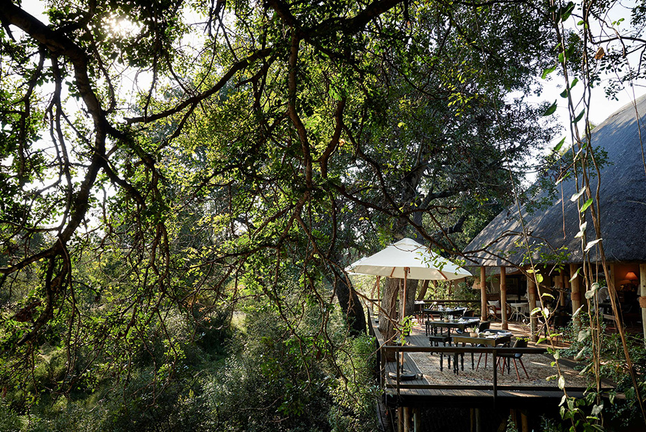 Hoedspruit Thornybush Babymoon at Royal Malewane
