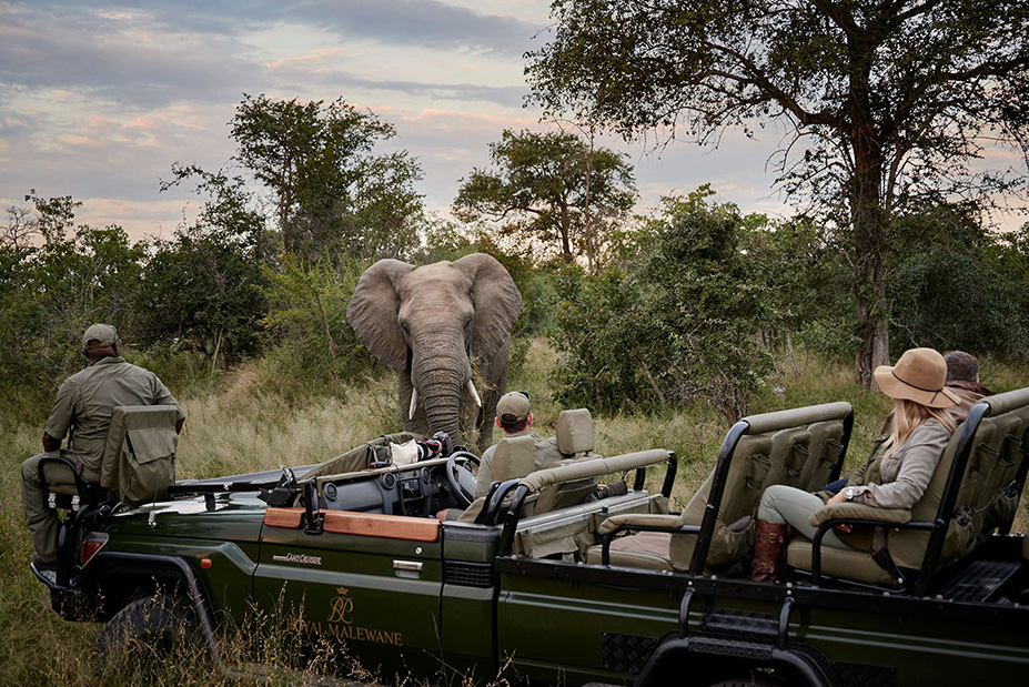 Hoedspruit Thornybush Babymoon at Royal Malewane