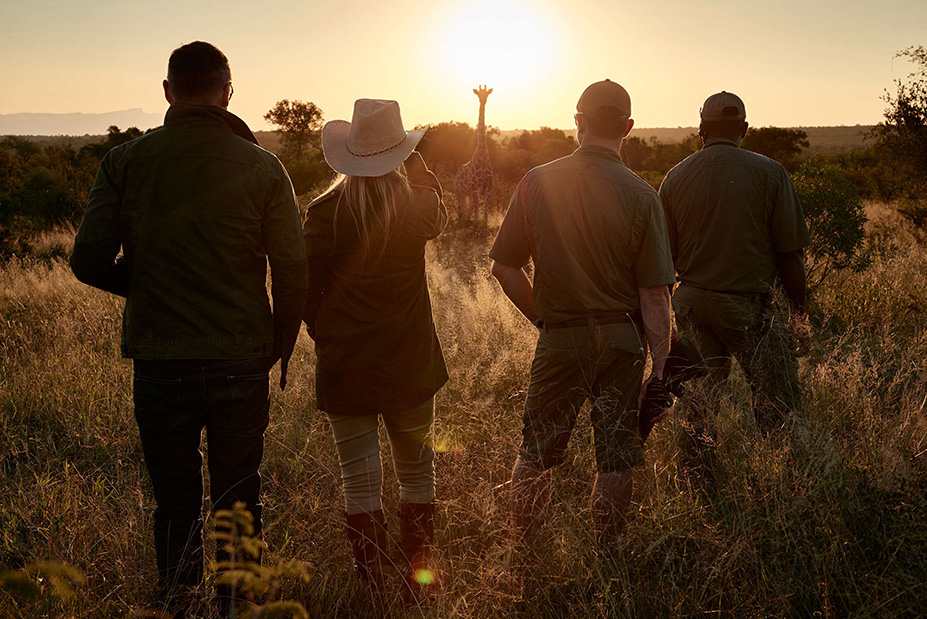 Hoedspruit Thornybush Babymoon at Royal Malewane