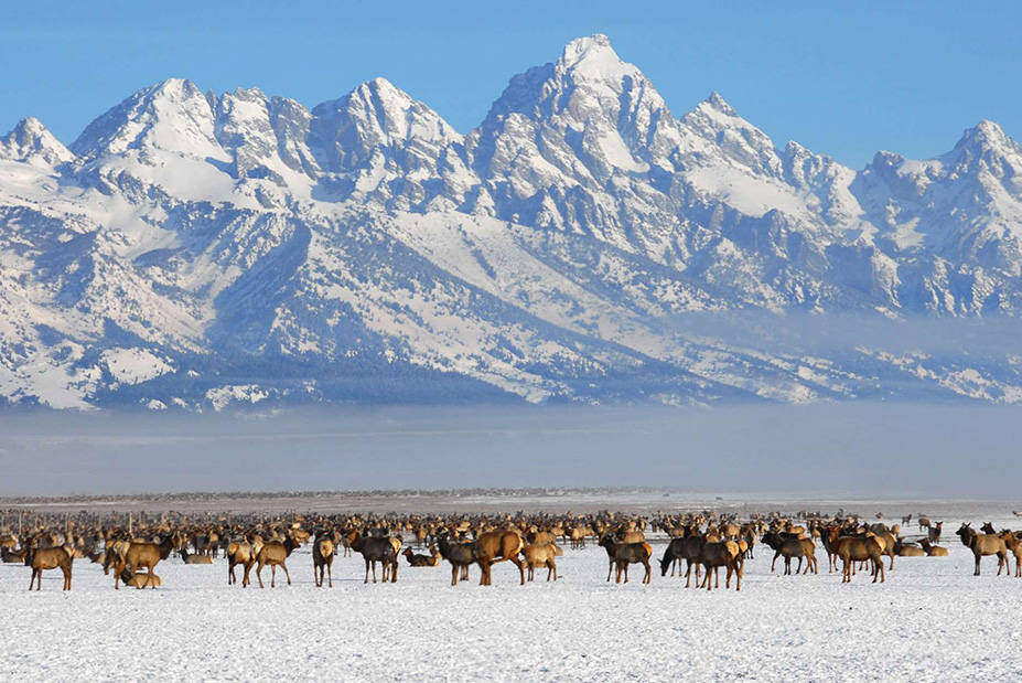 Jackson Hole Babymoon at Four Seasons Resort and Residences